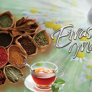 Imagem de capa para o Curso online Ervas Magicas