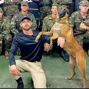 Imagem do curso Curso de Adestramento de Cães