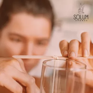 Imagem de capa para o Ebook Manual do Pavio Ideal: O Guia Completo para Iniciantes em Velas Artesanais