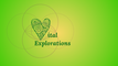 Vital Explorations Academy