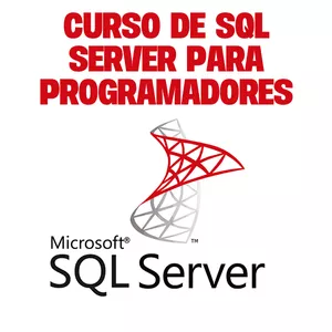 Imagem de capa para o Curso online SQL SERVER PARA PROGRAMADORES