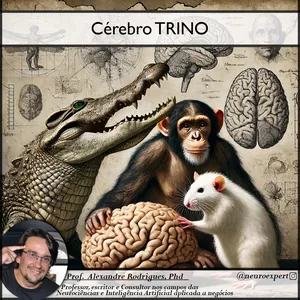 Imagem de capa para o Curso online O Cérebro TRINO na prática