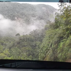 Imagen de portada para Curso online Lugares de la selva peruana