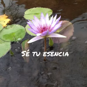 Imagen de portada para Curso online Sé tu esencia suscripción mensual