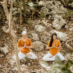 Imagen de portada para Curso online Dhyana Sadhana - Curso de Meditación de 21 días