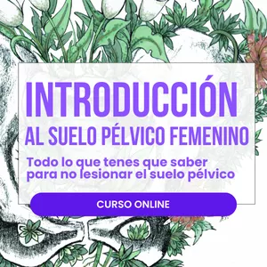 Imagen de portada para Curso online Curso Monográfico - Introducción al Suelo Pélvico Femenino