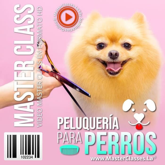 <p>Peluqueria para Perros</p>