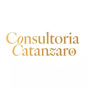Imagem de capa para o Curso online Consultoria Catanzaro