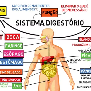 Imagem de capa para o Ebook MAPA MENTAL - SISTEMA DIGESTÓRIO