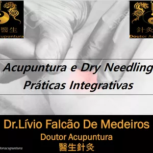 Imagem principal do produto Acupuntura e Dry Needling-Práticas Integrativas