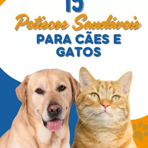 Imagem de capa para o Ebook 15 receitas exclusivas de petiscos saudáveis 