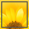 Be the Peace logo