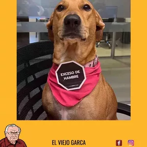 Imagen de portada para Curso online Curso de ingles