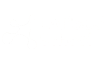 Lapsus School logo