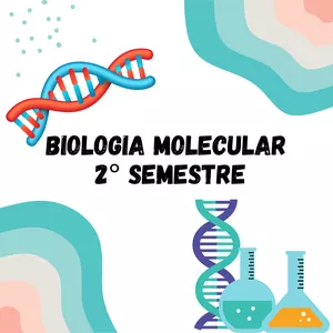 Imagem de capa para o Ebook Resumo biologia molecular 2° semestre