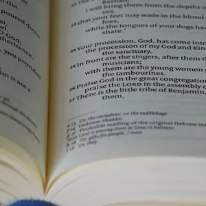 Imagem de capa para o Ebook Apostilas alfabetização