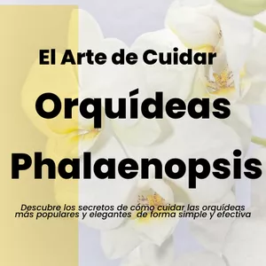 Imagen de portada para Ebook El Arte de Cuidar Orquídeas Phalaenopsis