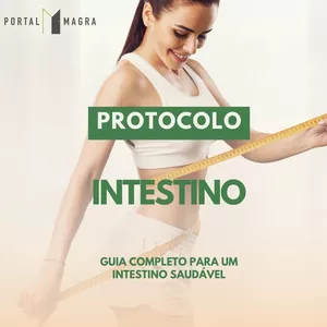 Imagem de capa para o Ebook Protocolo Intestino 