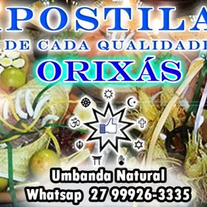 Imagem de capa para o Ebook APOSTILA EBÓS DE CADA QUALIDADE DOS ORIXÁ