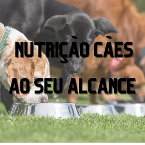 Capa do curso 