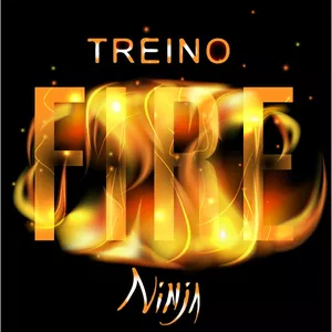Imagem de capa para o Curso online Treino Fire Ninja 
