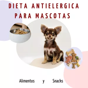 Imagen de portada para Ebook dieta antialergica para mascotas