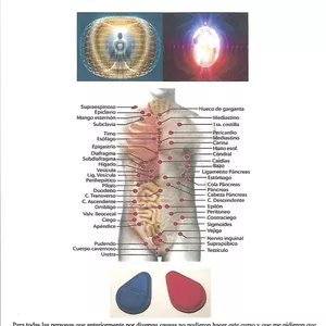 Imagen de portada para Curso online Aplicación del Biomagnetismo según Patologías