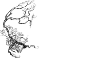 The Carterhaugh School logo