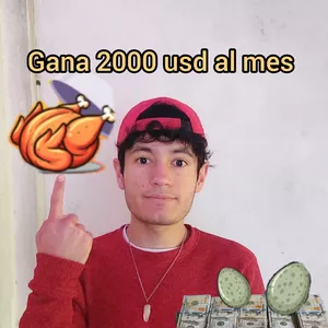 Imagen de portada para Curso online Gana +2000 usd al mes 