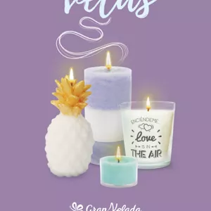 Imagen de portada para Curso online Esenci Gran Velada