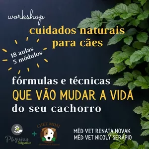 Imagem de capa para o Curso online Workshop de Cuidados Naturais com seu cão