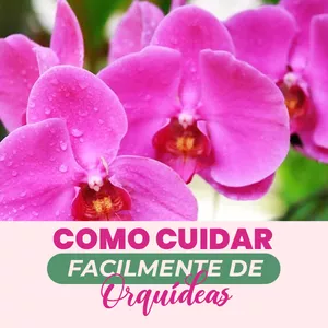Imagem de capa para o Ebook Como Cuidar Facilmente de Orquídeas