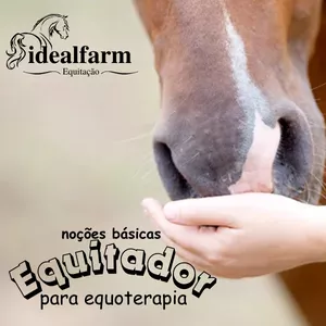 Imagem de capa para o Curso online Noções Básicas de Equitador para Equoterapia