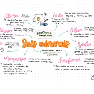Imagem de capa para o Ebook Mapa mental Sais Minerais