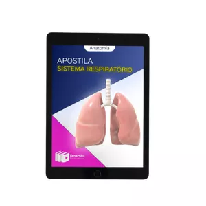 Imagem de capa para o Ebook Apostila sistema respiratorio