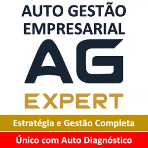 Imagem de capa para o Curso online Auto Gestão Empresarial - AG EXPERT