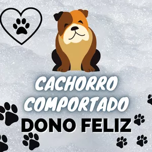 Imagem de capa para o Ebook Cachorro Comportado - Dono Feliz