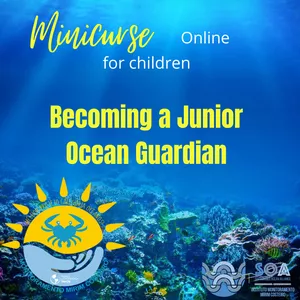 Imagem principal do produto Becoming a Junior Ocean Guardian -  Online Mini Course for children