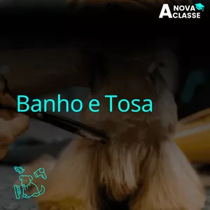 Imagem de capa para o Curso online Curso Banho e Tosa