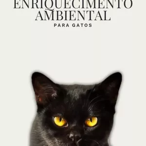 Imagem de capa para o Ebook Enriquecimento ambiental para gatos