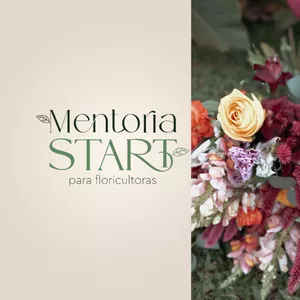 Imagem de capa para o Curso online Mentoria Start Recorrente