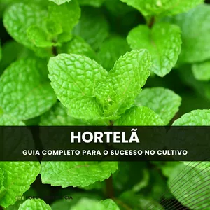 Imagem de capa para o Ebook Segredos do Sucesso no Cultivo de Hortelã: Colha Frescor e Lucros no seu Jardim