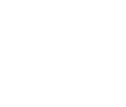 Neon Shed logo