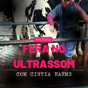 Imagem de capa para o Curso online Imersão fera no ultrassom