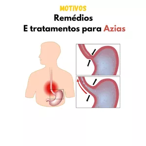 Imagem de capa para o Ebook Remédios naturais contra azia