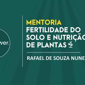 Imagem de capa para o Curso online Mentoria GSN: Rafael Nunes