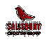 Salisbury Creative Group Academy