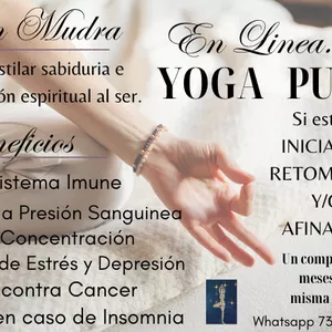 Imagen de portada para Curso online Yoga Puro 