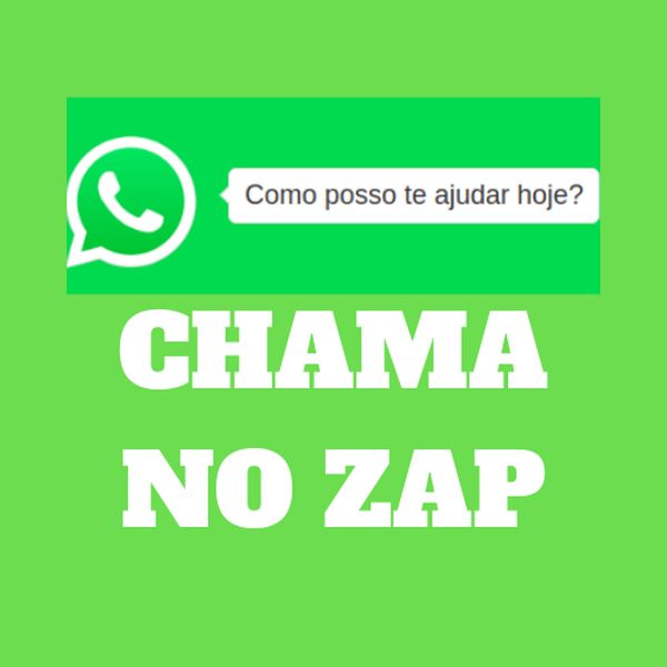 Chama No Zap - Rafael Laurindo - learn a new skill - Software, Downloadable  programs | Hotmart