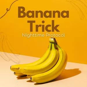 Cover image for Ebook Nighttime Protocol